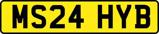 MS24HYB