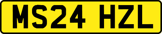 MS24HZL