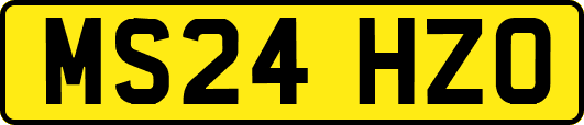 MS24HZO