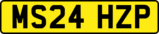 MS24HZP