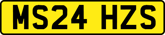 MS24HZS