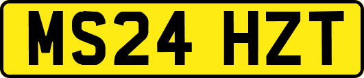 MS24HZT