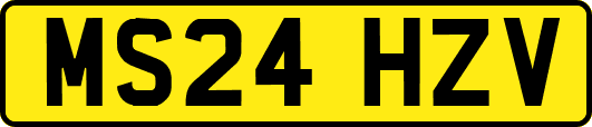 MS24HZV
