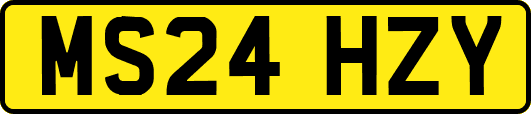 MS24HZY