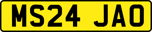 MS24JAO