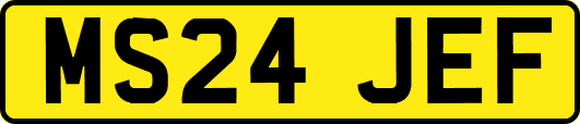 MS24JEF
