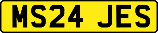 MS24JES