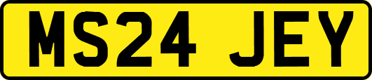 MS24JEY