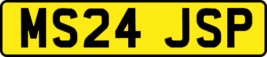 MS24JSP