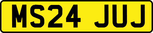 MS24JUJ