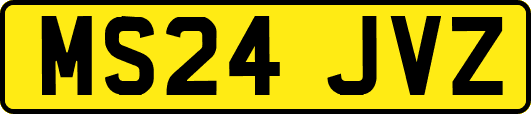 MS24JVZ