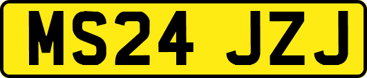 MS24JZJ