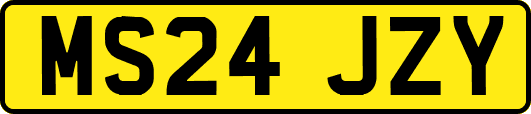 MS24JZY