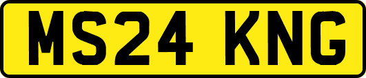 MS24KNG