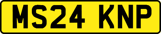 MS24KNP