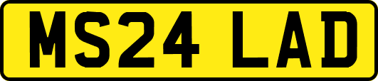 MS24LAD
