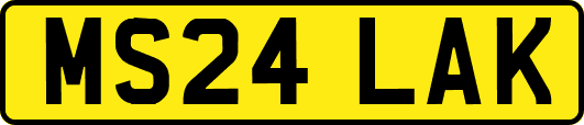 MS24LAK