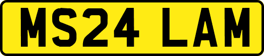 MS24LAM