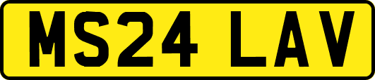 MS24LAV
