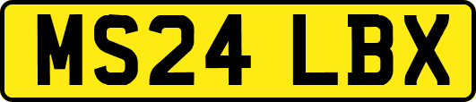 MS24LBX