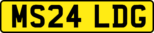 MS24LDG