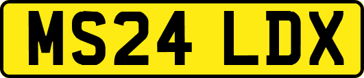 MS24LDX