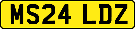 MS24LDZ