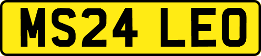 MS24LEO