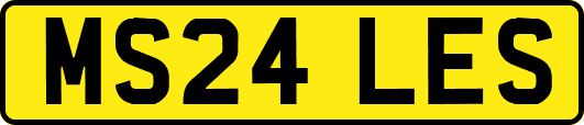 MS24LES