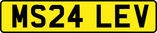 MS24LEV