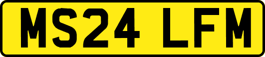 MS24LFM