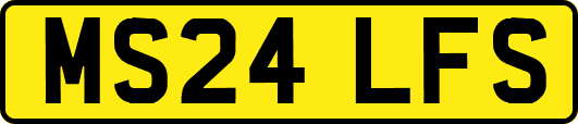 MS24LFS