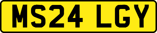 MS24LGY