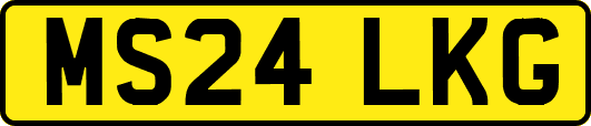 MS24LKG