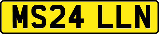 MS24LLN