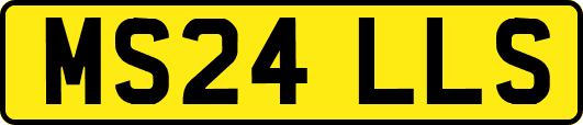 MS24LLS