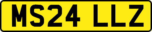 MS24LLZ