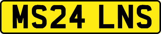 MS24LNS
