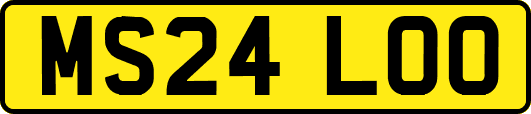 MS24LOO