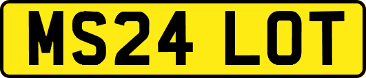 MS24LOT
