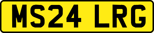 MS24LRG