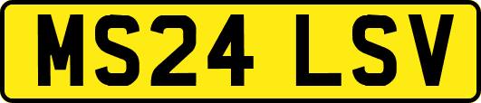 MS24LSV
