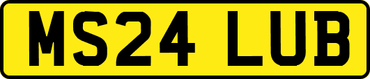 MS24LUB
