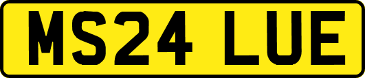 MS24LUE