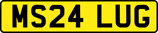 MS24LUG