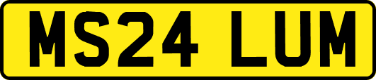 MS24LUM