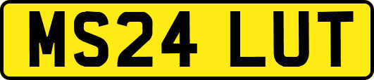 MS24LUT