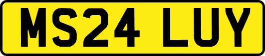 MS24LUY