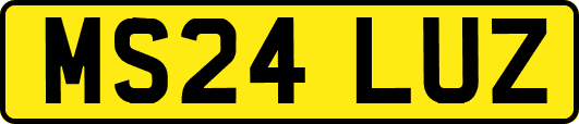 MS24LUZ