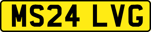 MS24LVG